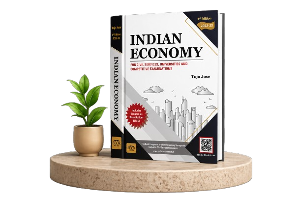 Indian Economy book on stone platform